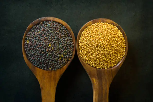 oilseed_image